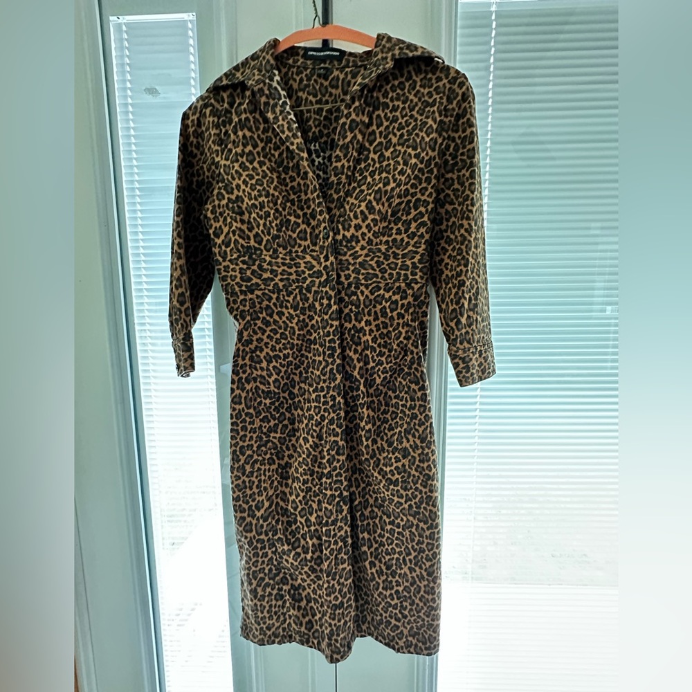 Express leopard dress